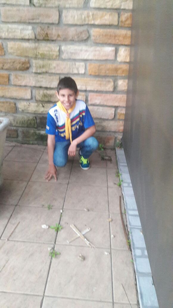 ClubeTwister's tweet photo. #desafioonline
#trilhapelabase
#clubetwister https://t.co/bX7JLfhMCf
