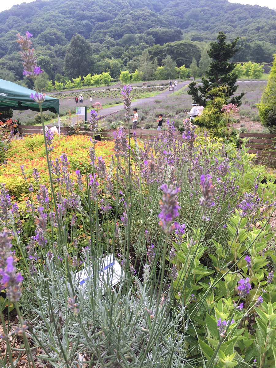 蒜山ハーブガーデン