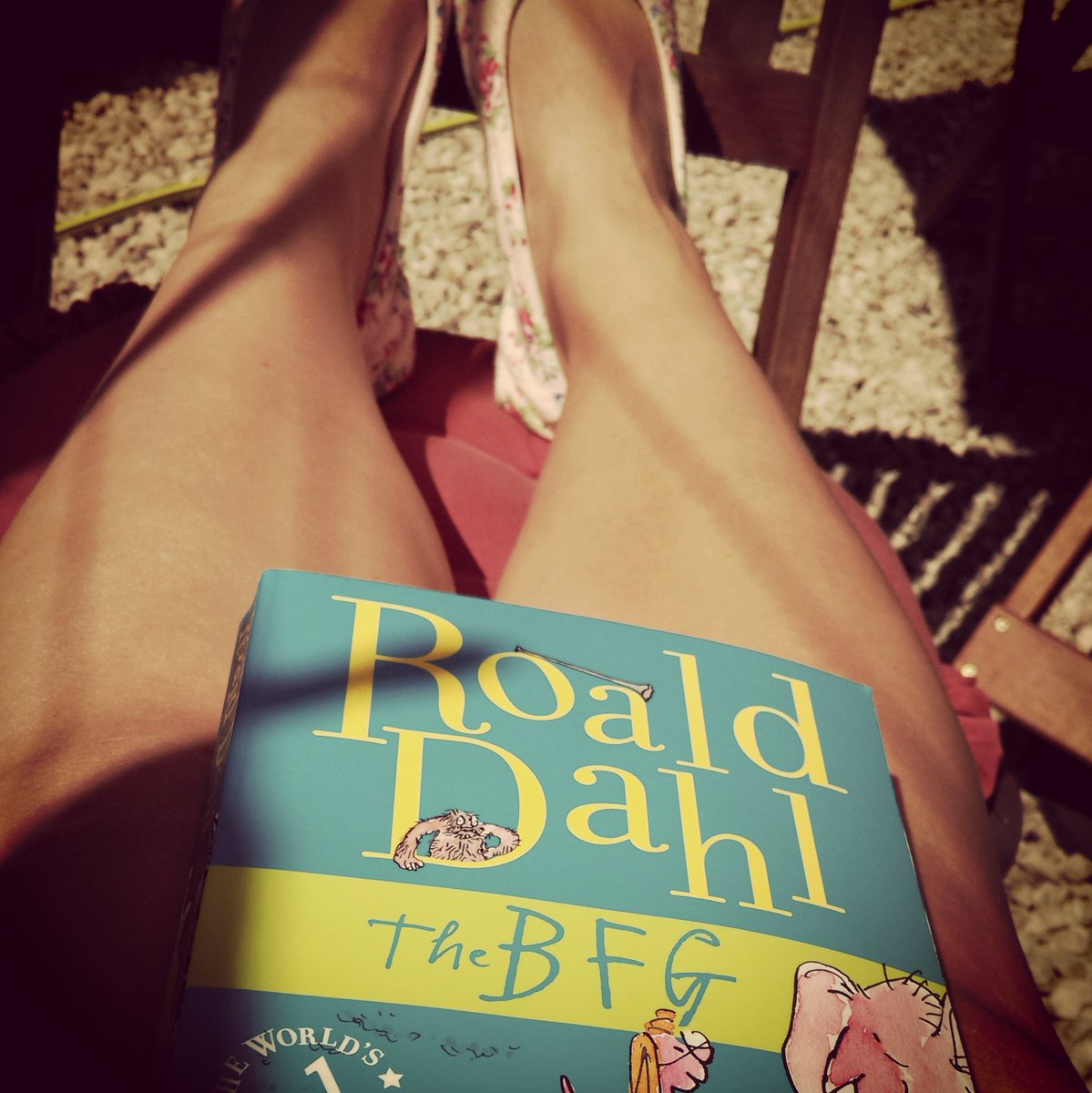 WolfandVintage's tweet photo. Love sitting in my garden chilling either a good book :)  #RoaldDahl100 #thebfg #reading #bookworm https://t.co/J4bfxZ0Q0X