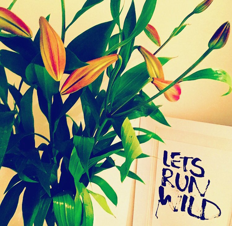 ReneePeterson's tweet photo. ๐๐ #love #life #flowers #letsrunwild #Melbourne #Australia https://t.co/Apdur8Rn8H