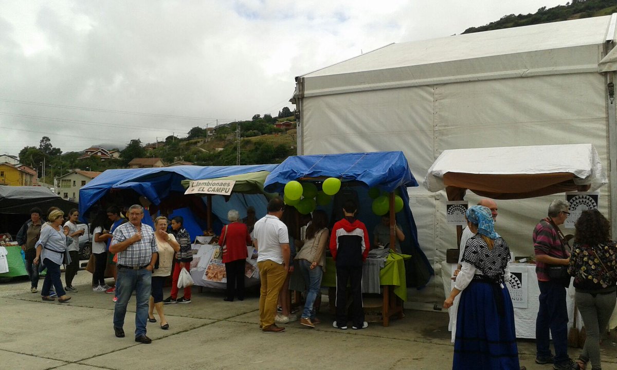 Mercadillo fiestas Nuestra Señora de las Nieves Campomanes (Asturias) dando a conocer #SíndromeWolfHirschhorn #SWH