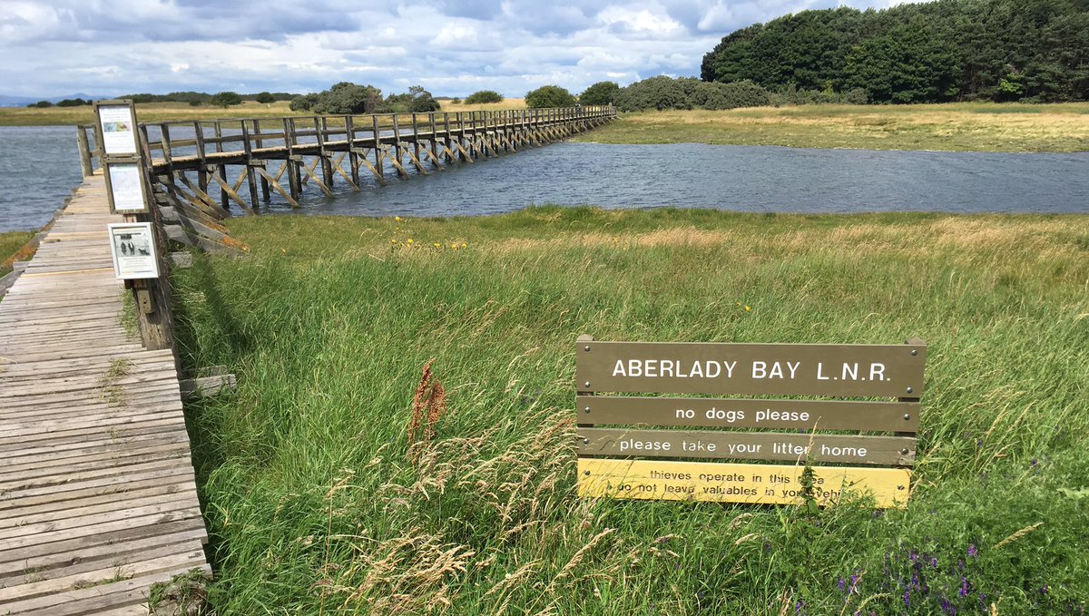 At least 2 dogs being walked @aberlady LNR #eastlothiancouncil obviously your sign not good enough😕