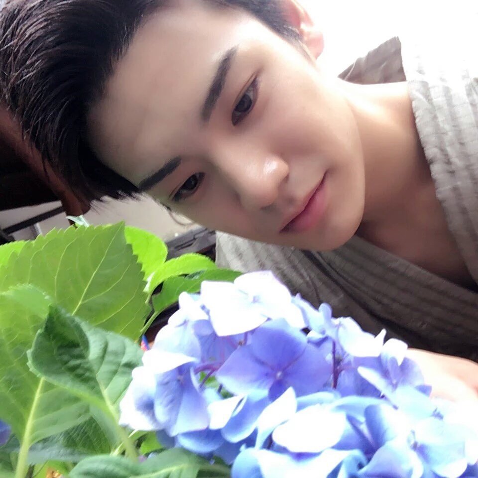 LeonardoArth_AS's tweet photo. 아~~~켄타로존나사랑해입니다(ㅈㅅ아서가할말이생각안난대서후장맨이대신말함. https://t.co/KUVm2Yr1Nj