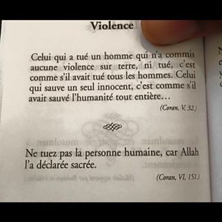 SainteLisieux's tweet photo. " Persévérez dans l'amour fraternel. "
(Hébreux 13, 1) #versetdujour 💐 😘 🌹 #Bible #Thorah #Coran 👍✌❤ https://t.co/Z6vD2tb1AO