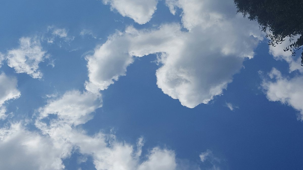 ILoveMyGingers's tweet photo. Enjoying a Birthday BBQ with my sister in law and see this #peniscloud https://t.co/h2Sje37EP3