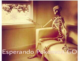 Homer0222's tweet photo. #POKEMONGONOBRASILHOJE https://t.co/XMZmin1gNs