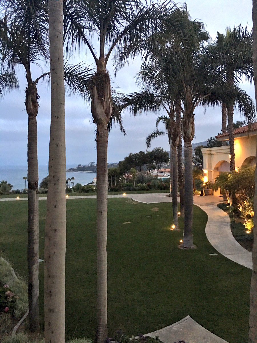 smartarsegooner tweet media