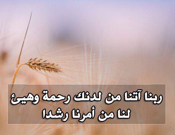 Don | 3ali tweet media