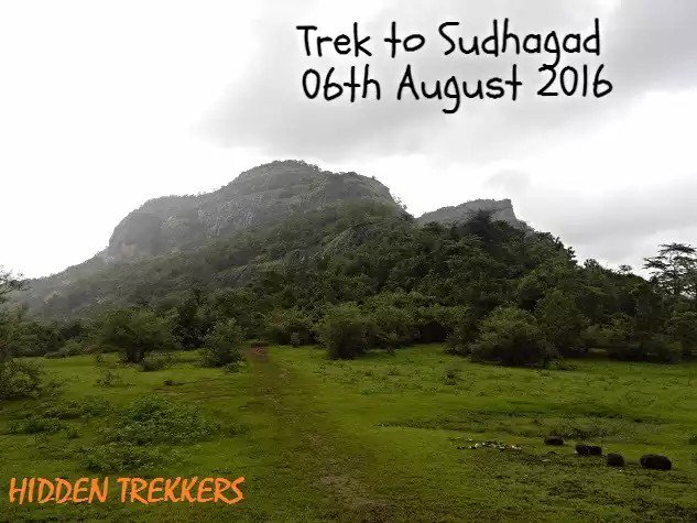 Hidden Trekkers tweet media