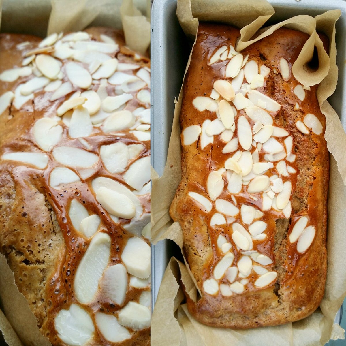 whatnutrition's tweet photo. Cashew butter bread #grainfree #paleo #scddiet https://t.co/H32sbqU0GJ