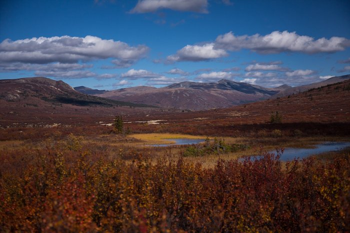 OUTDChannel's tweet photo. Tough Lessons Learned on a #Yukon #Caribou Hunt. #Bowhunting @YoungWildtv - Today 10:30am ET https://t.co/FcwFmxNjmT https://t.co/7xKOBxuu9z
