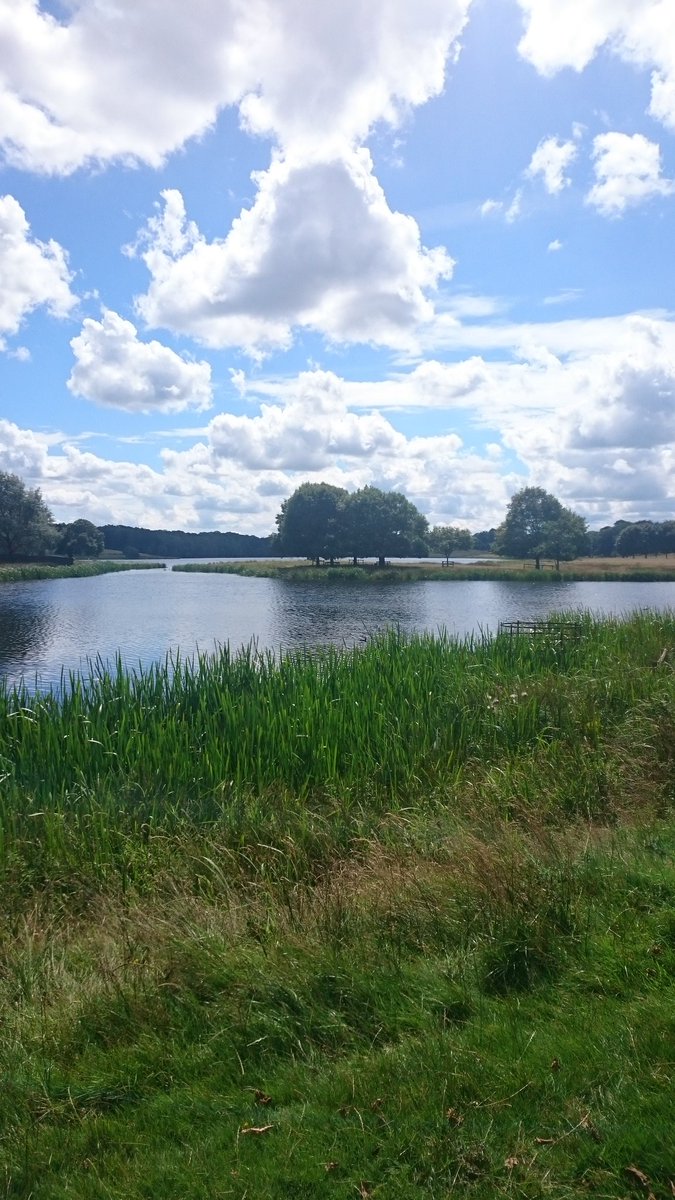 Vicky4set's tweet image. Nice little walk around @tatton_park this afternoon