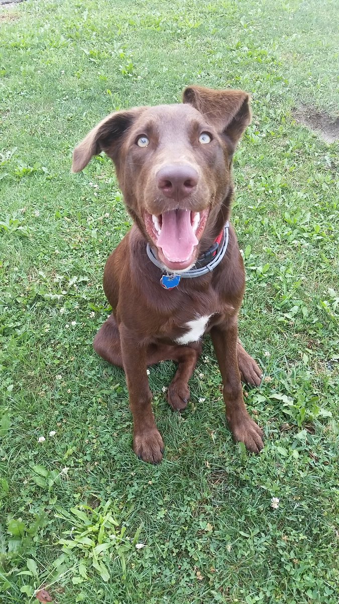 dmjones11's tweet photo. Guess what time it is! Excessive-pictures-of-Mav time! https://t.co/LAHucjb8Tn