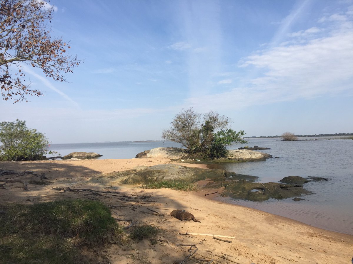 fadaan38's tweet photo. Aproveitando São Lourenço em dia especial de Sol. https://t.co/HX8INTuRxe