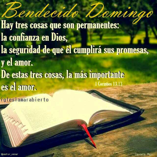 Ferrer22Mario's tweet photo. @Titilarrazabal buenos dias princesa ..bendecido domingo , dia de nuestro señor Jesús https://t.co/FJEn1PrX8D