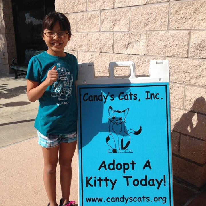 Candy S Cats On Twitter Cci Adoption Day Today Our Adoption