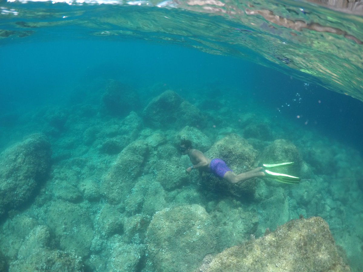 benfallphotos's tweet photo. Plongée sur la Mala, Cap d'ail, France @capdailofficiel https://t.co/RdPhE3Fsft