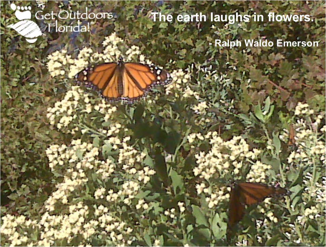 Here's a little #SundayInspiration to #GetOutdoorsFL