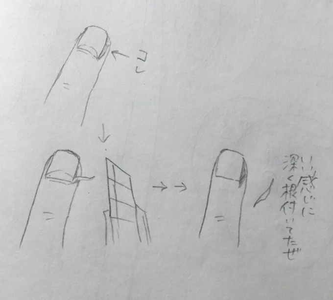密かな変態趣味として爪の側面にあるささくれのようなもの（名称不明）をどれだけ根こそぎ剥けるか？てのがあって、さっき爪の底が見える程いい感じに剥けて嬉しい。
カッターで隙間を作って剥きます。ささくれと違って痛みはないです。 