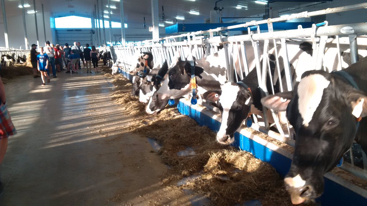 moomoocrew2's tweet image. Congrats to Werrcroft and Durham East on a very successful Twilight Meeting! #OntAg #RoboLac