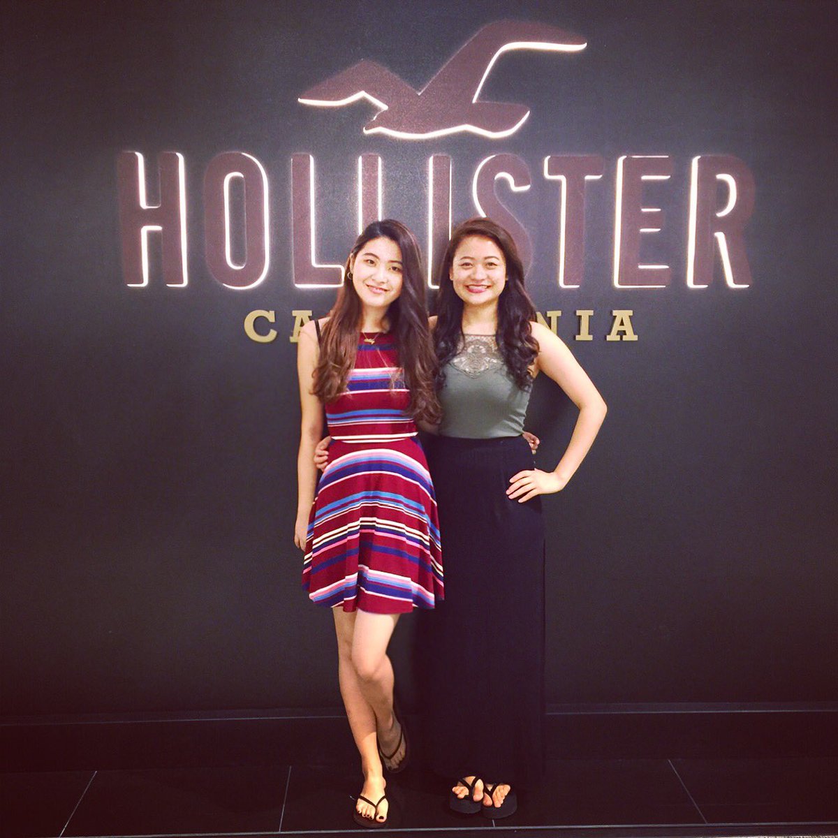 Hollisterfujimi