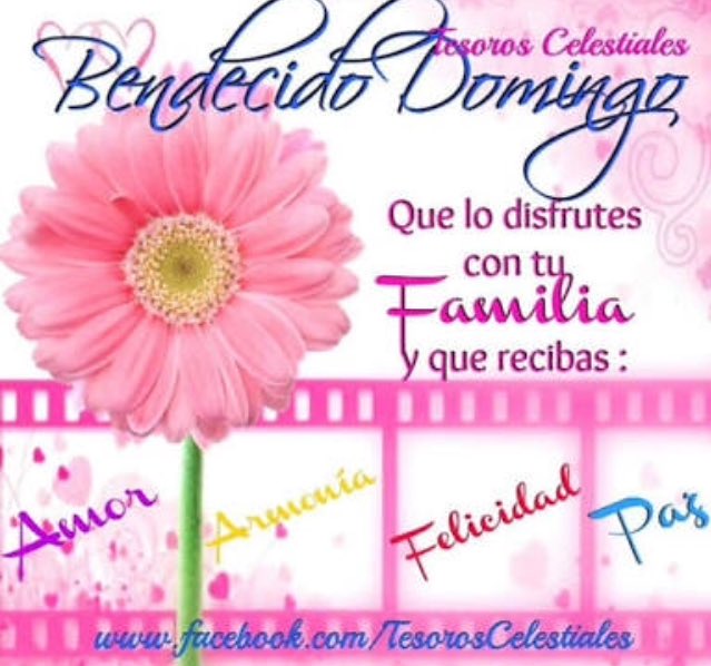 Titilarrazabal's tweet photo. @Ferrer22Mario Amén.!! Betito.. Feliz domingo.. Día de alabar a Dios.. Él contigo. https://t.co/eCfpLrjHgg