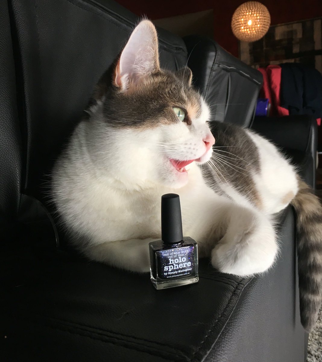 menchiethecat's tweet photo. I love holo polish https://t.co/lqrimEWmG6 😸 https://t.co/jdKFEsTWWY