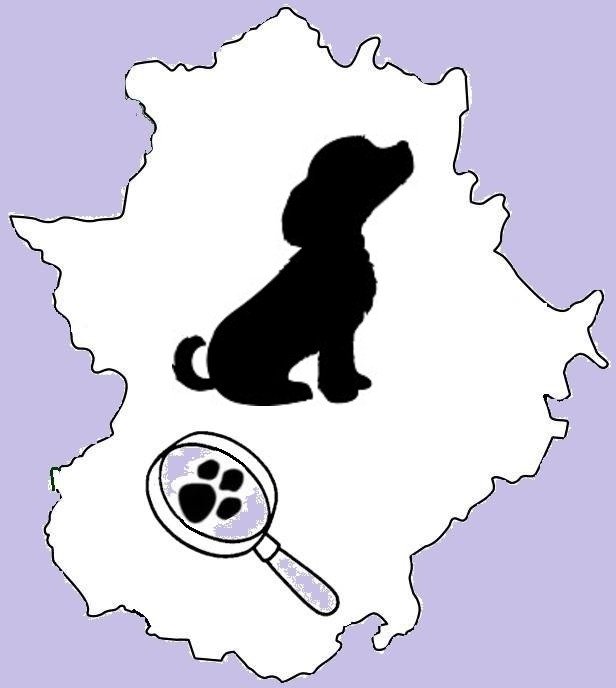 perdidosextrem1's tweet photo. #perrita SPANIEL BRETÓN de 3 años color  chocolate #perdida #BADAJOZ POR LA ZONA  GURUGÚ, COLORINES tlf 654479809 https://t.co/pYxmKdcla0