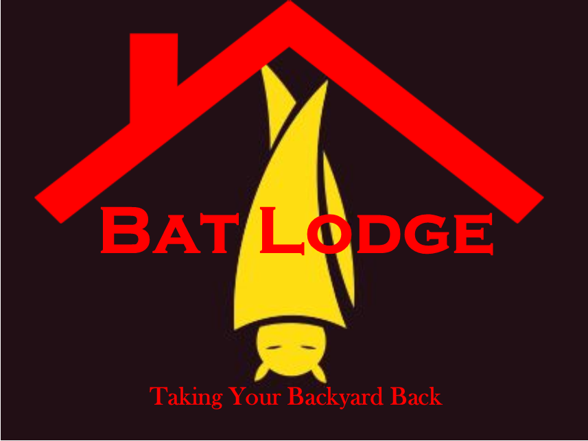 bat_lodge's tweet photo. https://t.co/O1NuSC3fQ6