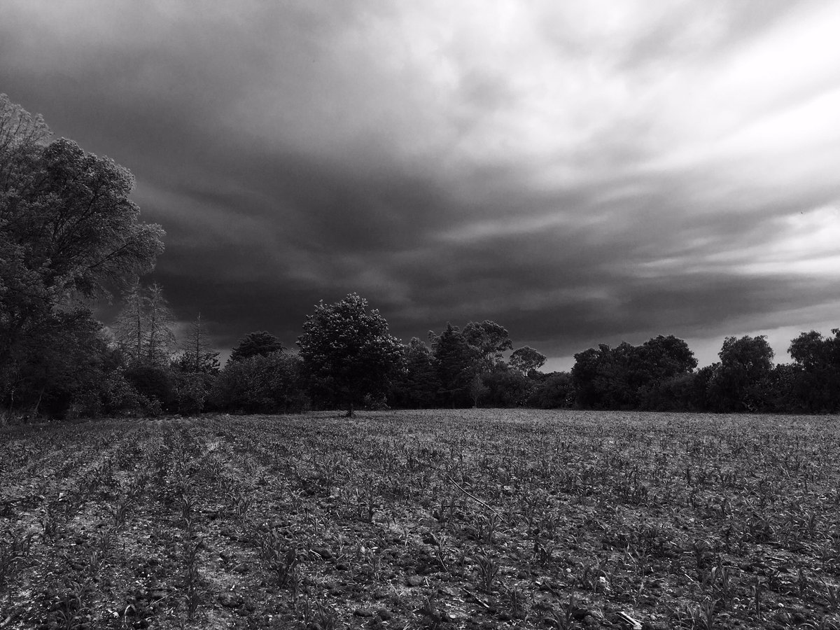roddgo's tweet image. Este es el cielo en el campo de #Aguascalientes #AgsMx

#EnAlgúnLugarDeAguascalientes