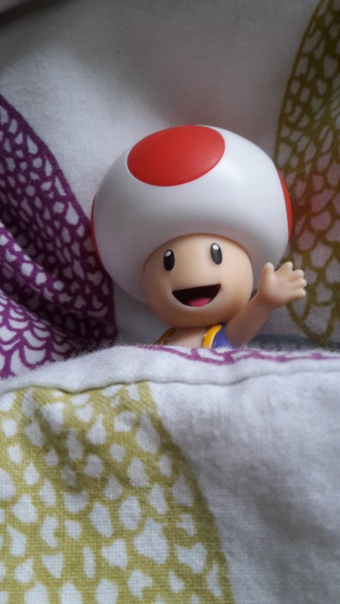 TheLegoFreakYT's tweet photo. #ToadPhoto https://t.co/NxTe8t9CJv