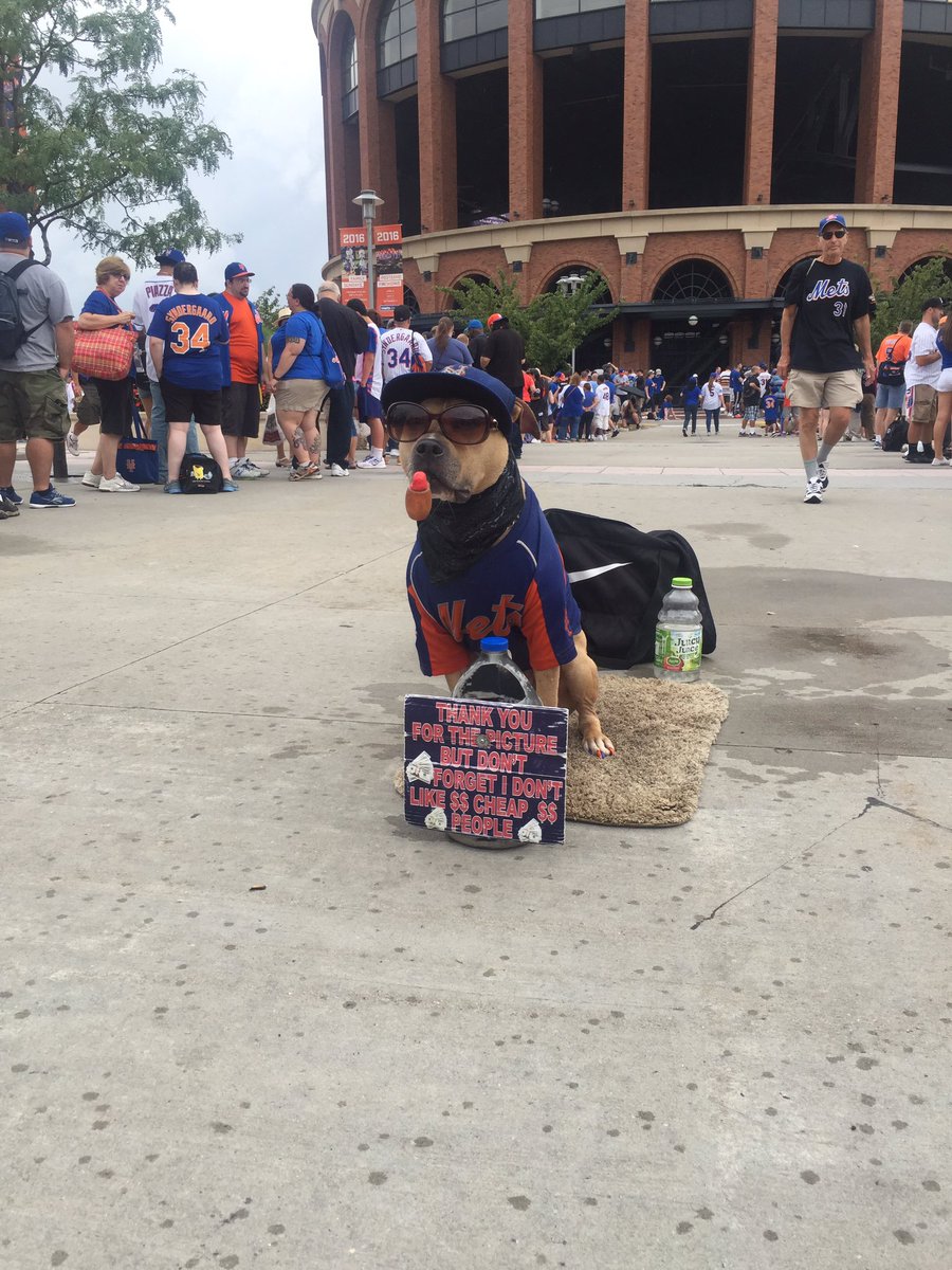 bethnj79's tweet photo. Citifield today baseball &amp; my boys ⚾️💙🍎🗽 #LGM #MikePiazzaWeekend https://t.co/1Fvf7UIxqU
