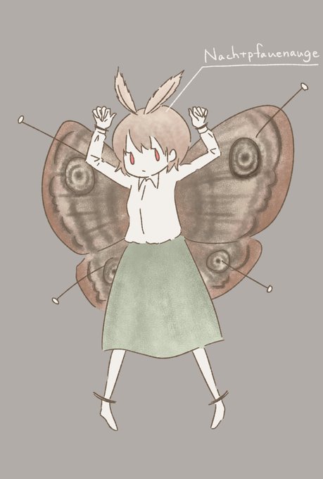 クジャクヤママユのtwitterイラスト検索結果 古い順
