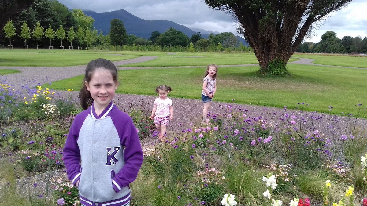 brid2016's tweet image. #lovekillarney #goldengates #killarneyhouse