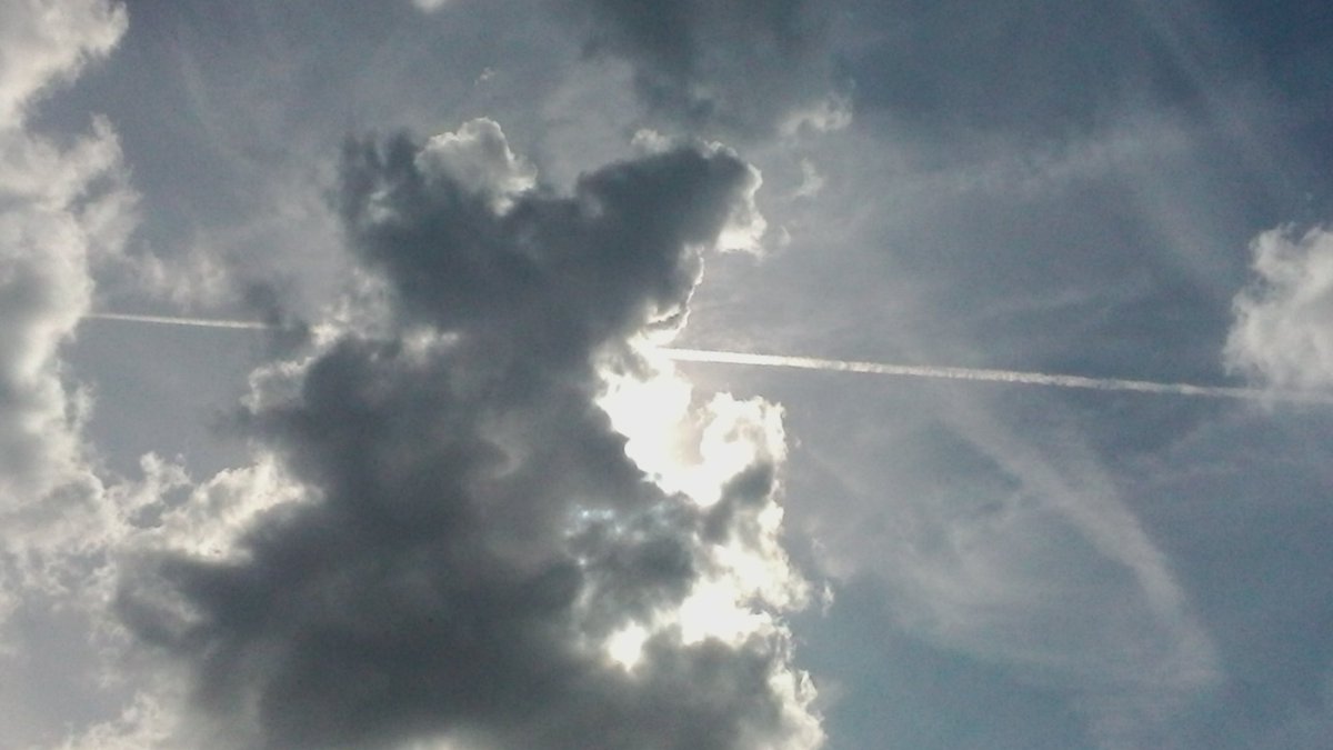 Wood2Wendy's tweet photo. #chemtrailssunday https://t.co/hK4e4IMQyO