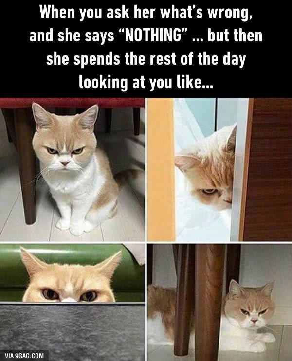 9GAG's tweet photo. Girls be like...
https://t.co/H0JzA2BW8b https://t.co/LiKGeDMZNI