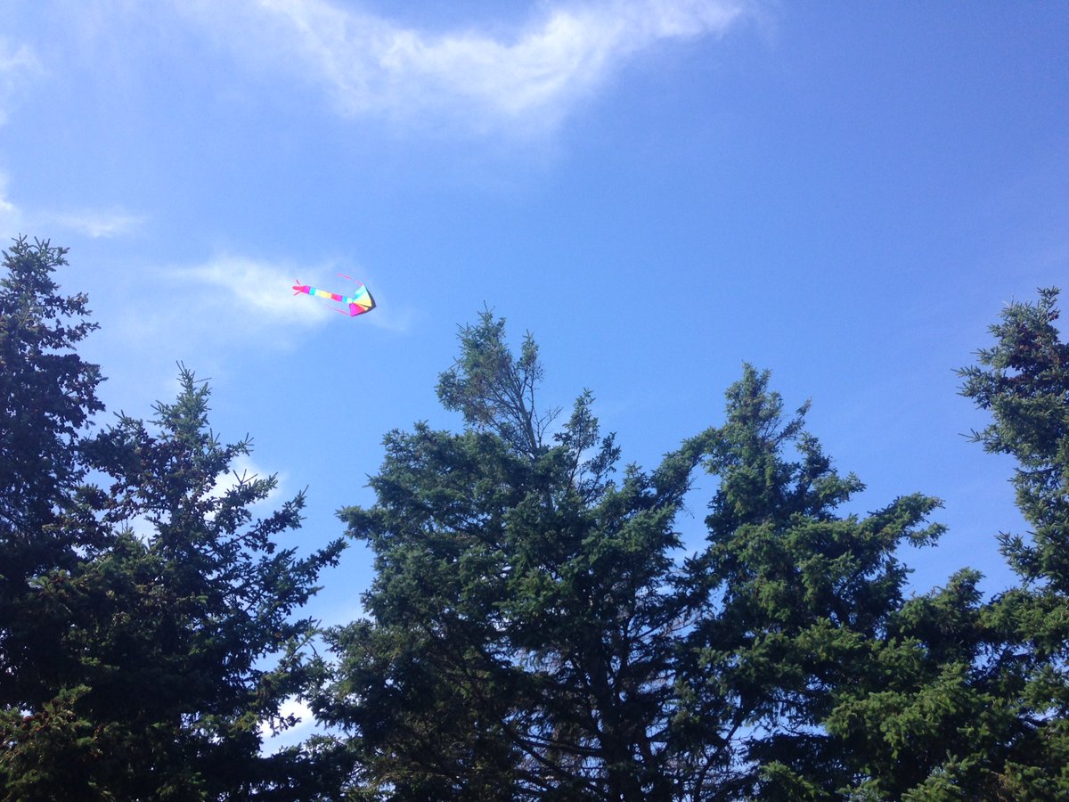 eastsizing's tweet photo. #goflyakite #perfectwind #mybeach #eastsizing #pei https://t.co/ZUKrE8AxM7