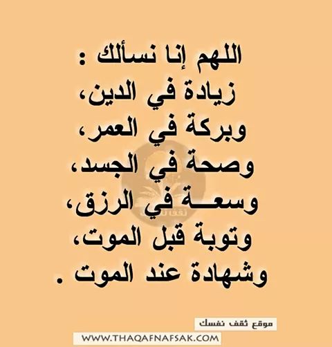 LyclLolo's tweet photo. https://t.co/ivwWCjQZcv