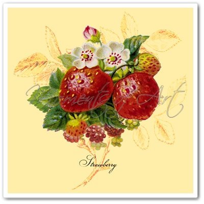 loribethstudios's tweet photo. Strawberries Yellow Simple Fruit - Art Print - 6x6 Print - French Cou… https://t.co/eG9I4u0hkq #Etsy #BotanicalFruit https://t.co/4EChUoIUNP