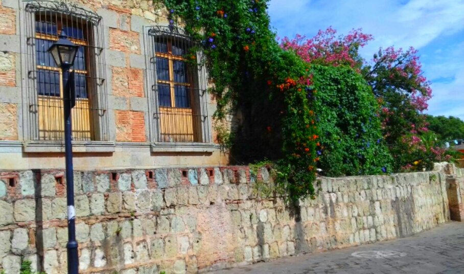 raulfrancov's tweet photo. #LaGrandezaDeOaxaca está en su gente y en sus barrios. #BarrioDeXochimilco https://t.co/LNcPXArPgS