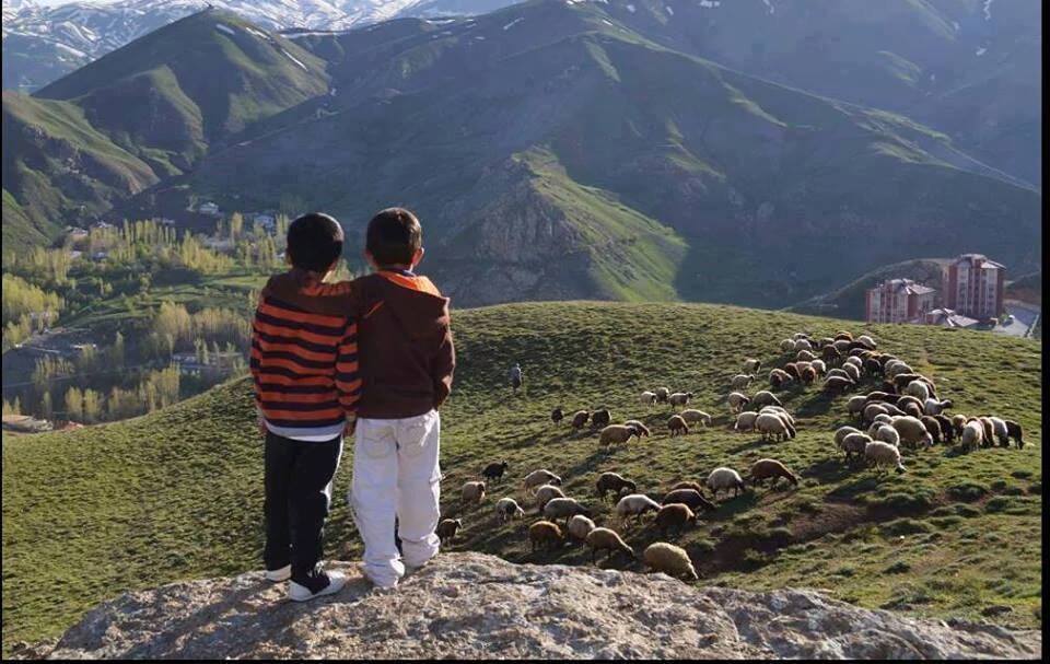 " Dürüstlük size fazla arkadaş kazandırmaz, 
ama her zaman iyi dostlar kazandırır. . ."
/ Ts Eliot'