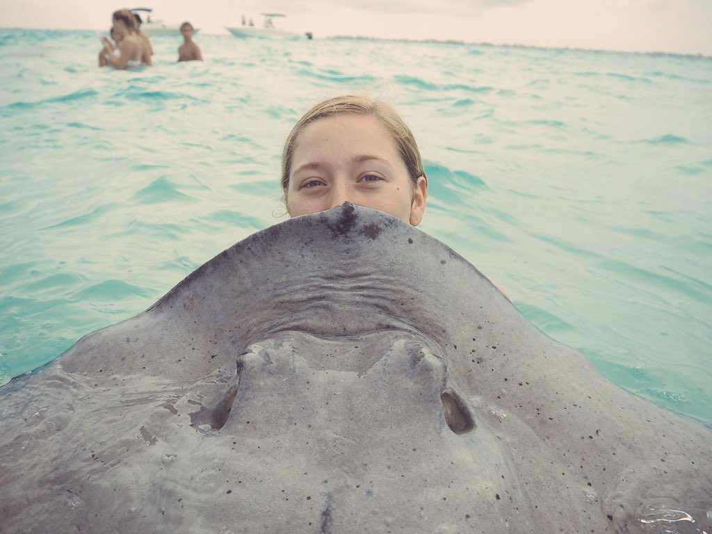 kaleekb's tweet photo. Stingray blanket!! https://t.co/rD8dS1VVtZ