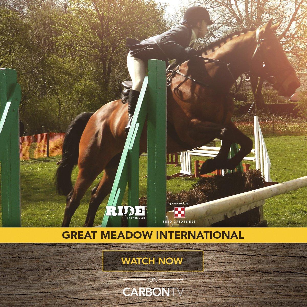 CarbonTV's tweet photo. Bringing you #GreatMeadowInternational #Dressage &amp; Show jumping: https://t.co/tbBaK0YbNM 

@RIDETV @Purina #GMI2016 https://t.co/cL2ktVh6df