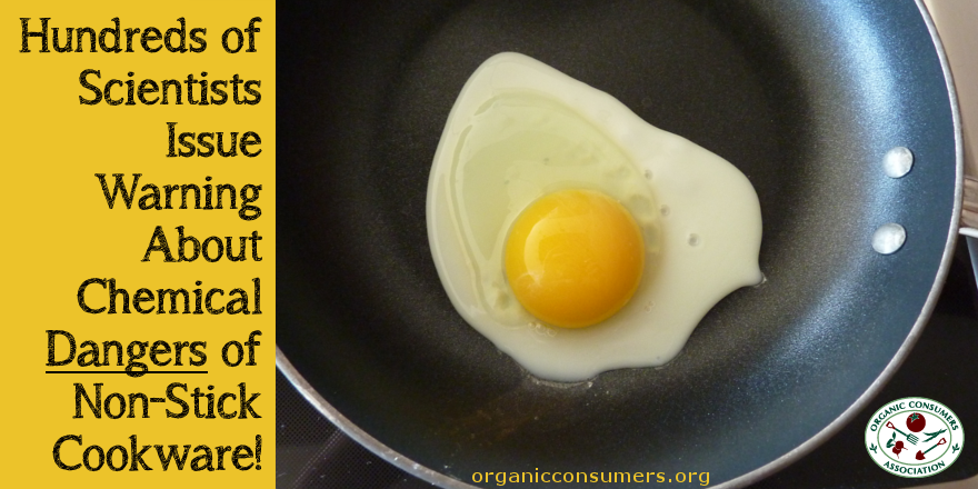 OrganicConsumer's tweet photo. Non-stick cookware linked to thyroid disease &amp; infertility in women! https://t.co/Vg02PkuV25  Please RT! #health https://t.co/QIOvGkgDQk