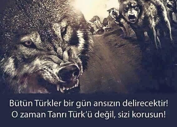 aydinkayaa's tweet photo. https://t.co/oA2pV3jBzP