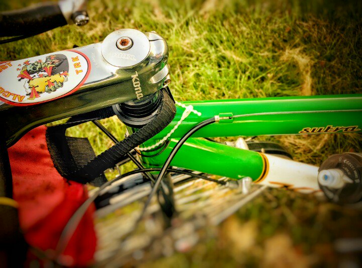 WinterBiking tweet media