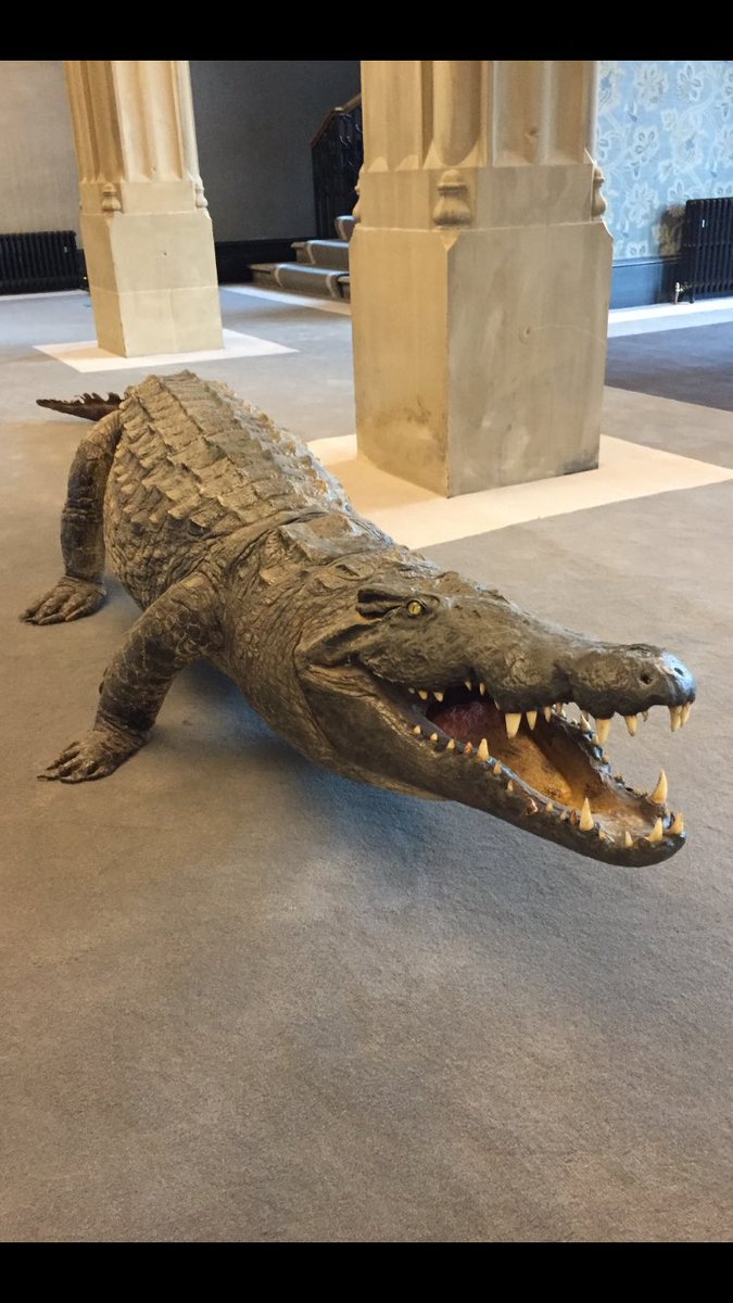 LifestyleTec's tweet photo. Some customers have interesting pets! https://t.co/Ve4t3sIi5L