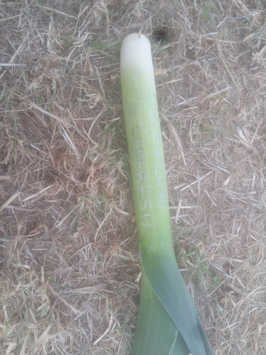 dantwig95's tweet photo. @31stBathScouts @OnAirAdventure @EIJ2016 we have a leek @CrusaderESU https://t.co/tle8wZwTkF
