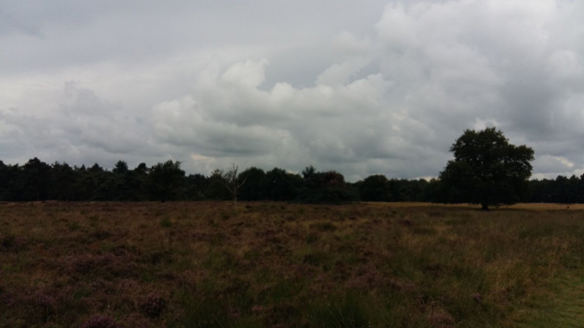 Borkmeister's tweet photo. Het is de lucht achter Oethoezn het is het torentje van Bőrk #reijntjesbos #duuster https://t.co/MBppxjzAbG