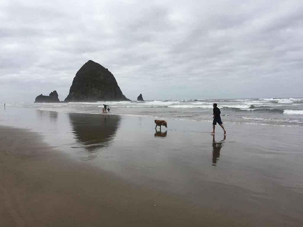 A man and his dog at Haystack Rock at Cannon Beach <a href="/surfsandresort/">Surfsand Resort</a> #cannonbeach #oregon #d… ift.tt/2aGUvFD
